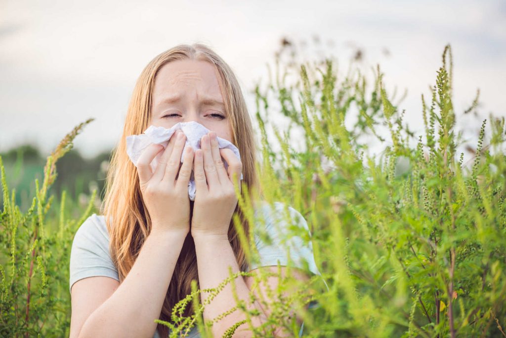 Ha parlagfű allergiában szenved keresse fel az Aranyklinikát!