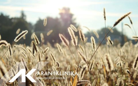 Az immunterápia véglegesen gyógyítja az allergiát!