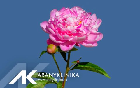 Az Aranyklinika június 6-án zárva tart!