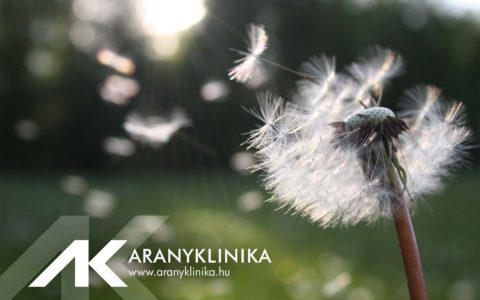 Védekezés a pollenek ellen a nyári időszakban