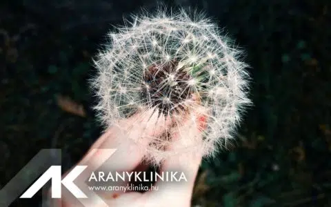 Hasznos tanácsok az allergiaszezonra